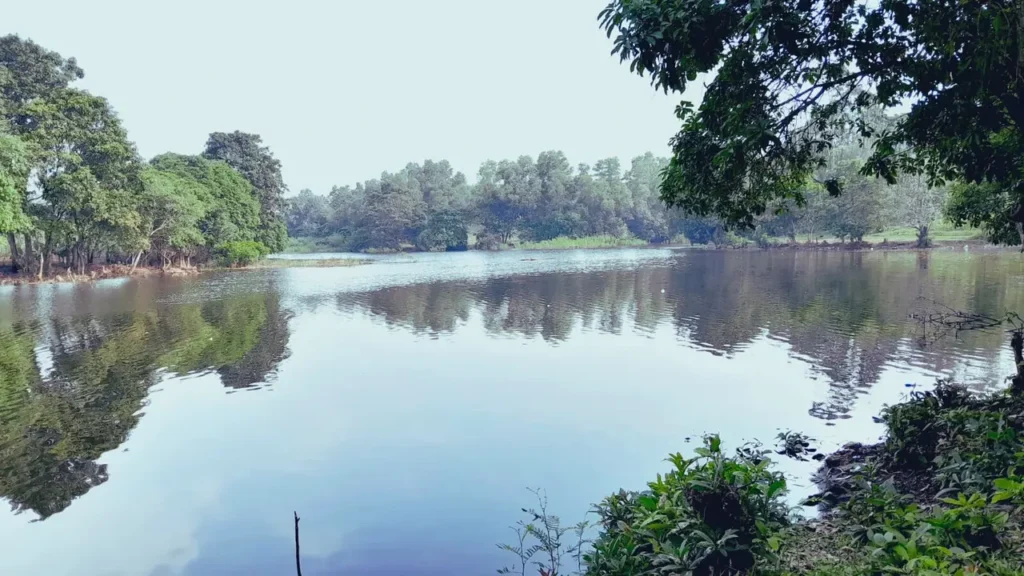 keindahan situ cicinta