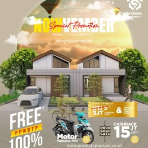 promo-nowvember-2025-type-camelia