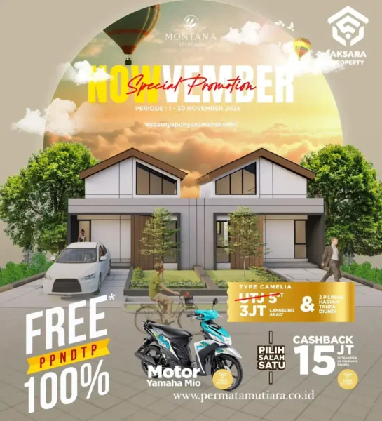 promo-nowvember-2025-type-camelia