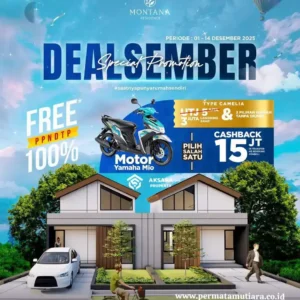 DealSember Type Camelia