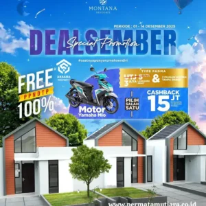 DealSember Type Padma