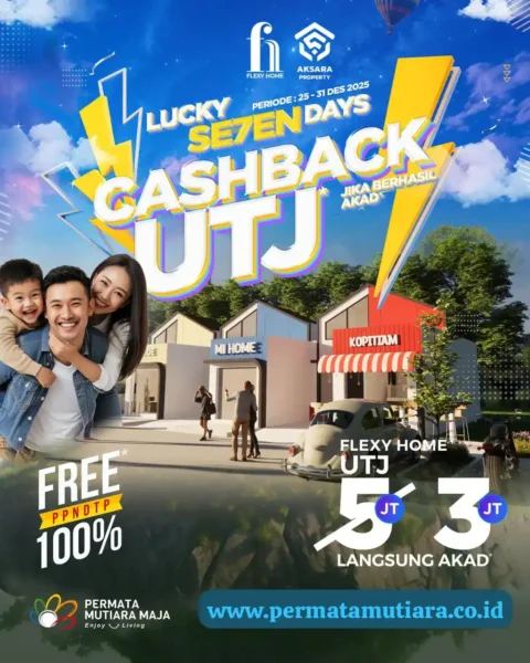 Lucky 7 Days Cash Back Flexy Home